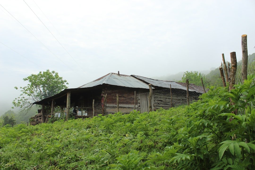 a wooden shack sitting on top of a lush green hillside