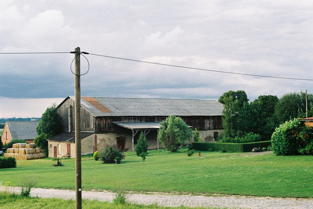 A field with a house and a barn in the background