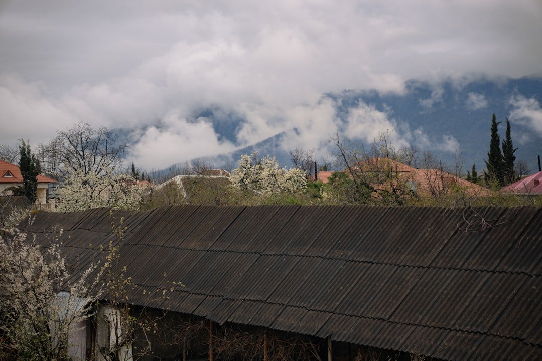 Houses and trees rest before a mountain.