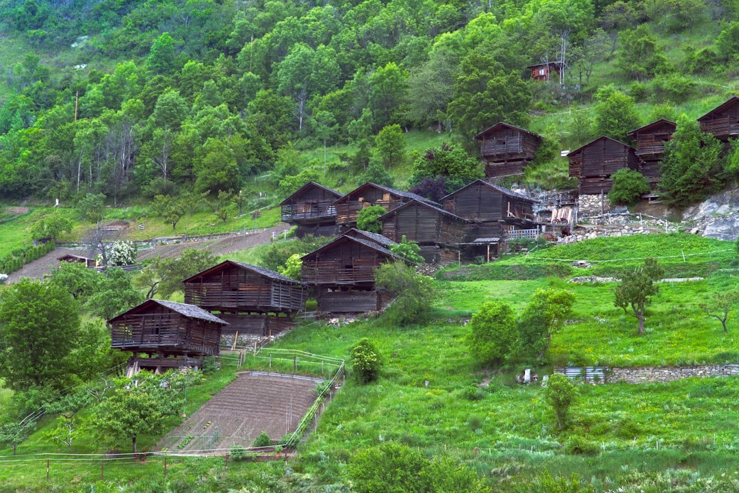 A group of wooden houses sitting on top of a lush green hillside