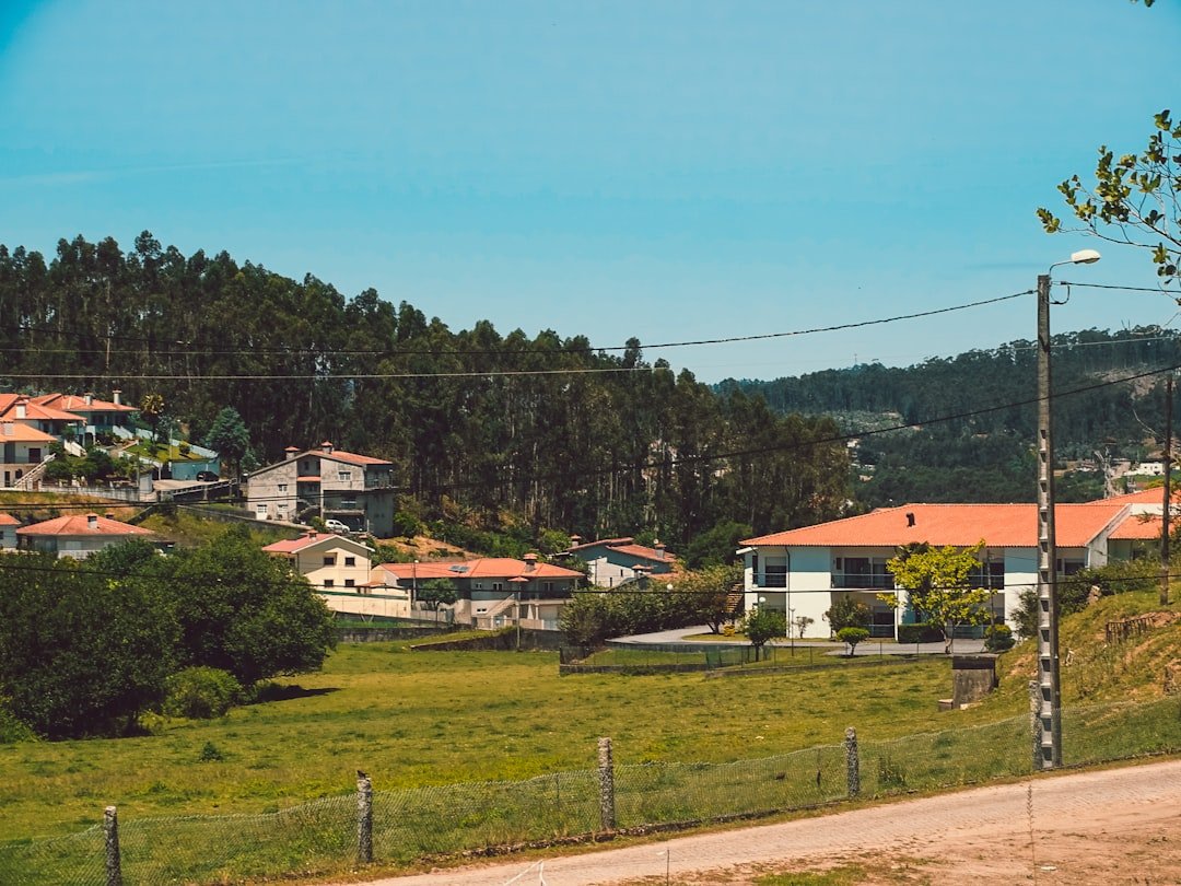 a green field with houses in the background