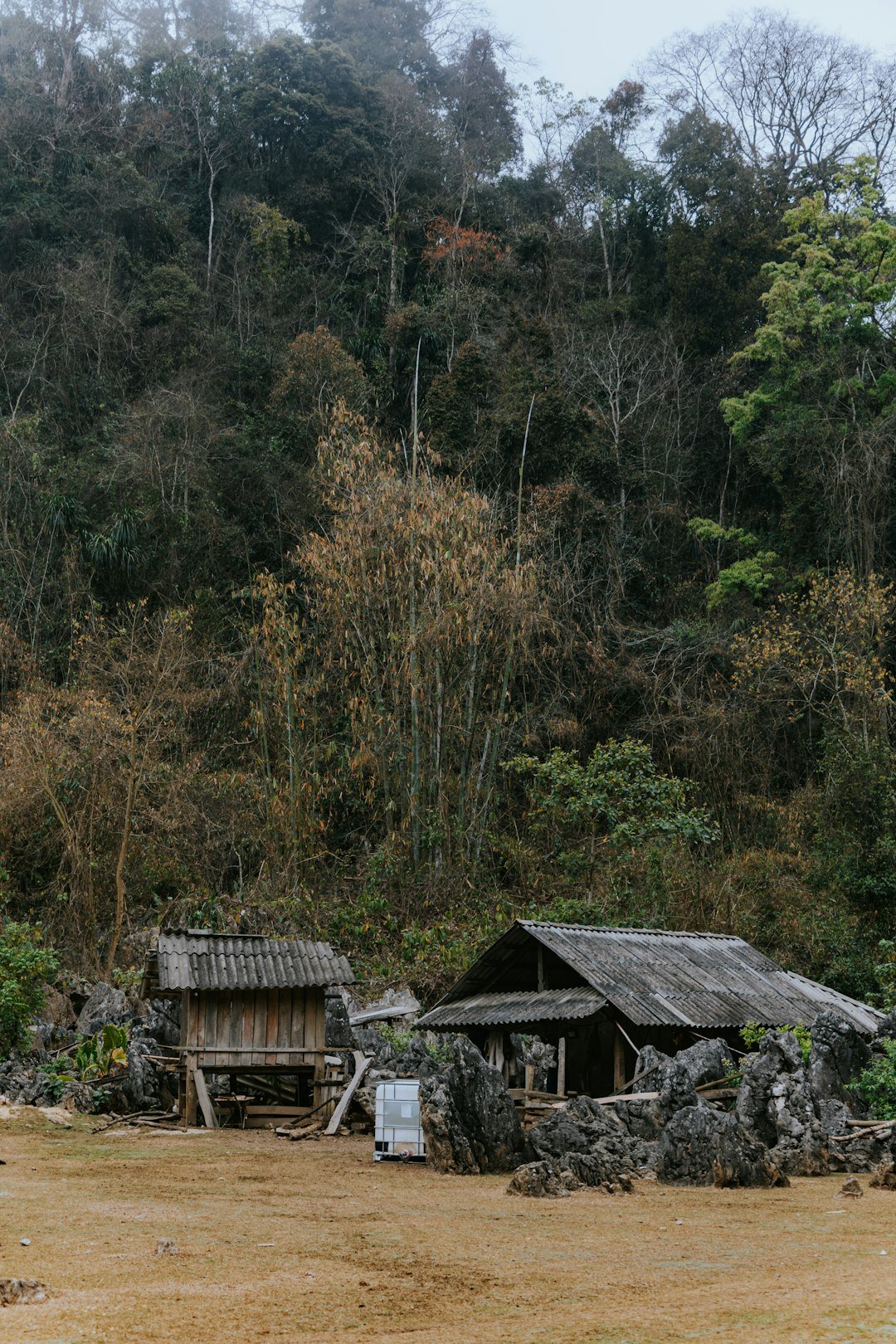 Two rustic huts sit nestled in a wooded mountain area.