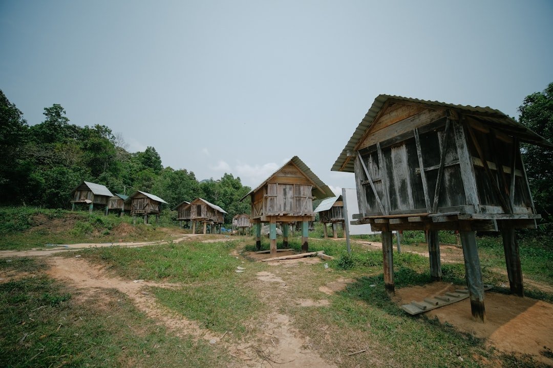 a group of wooden buildings sitting on top of a lush green field