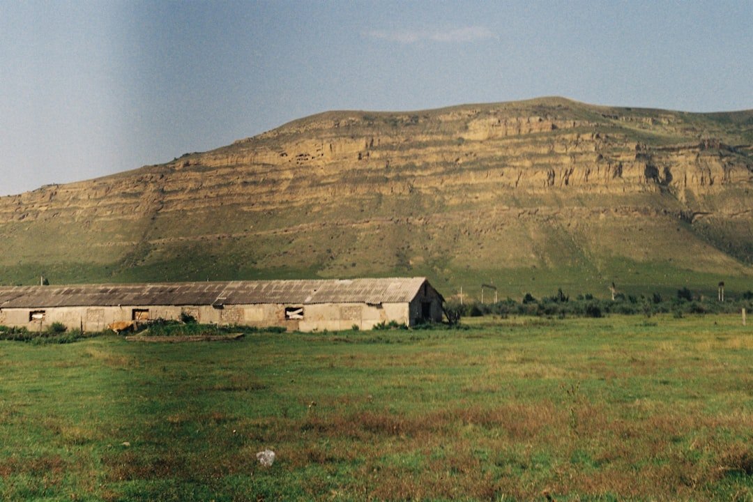 A large grassy field with a mountain in the background