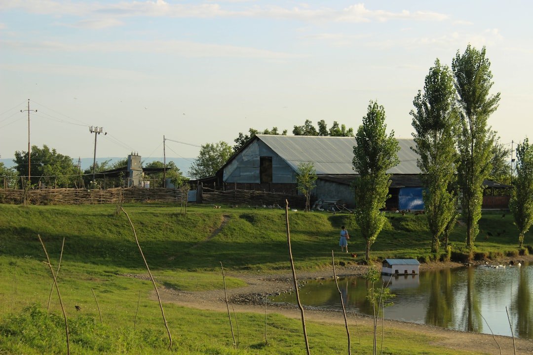 a farm with a pond and a barn in the background