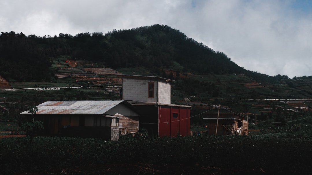 white and brown wooden house near green mountain under white clouds during daytime